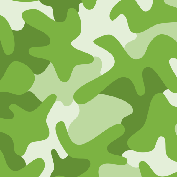 https://digitalpaperpack.com/images/pictures/camouflage/camouflage.600x.png