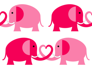 Love Elephants